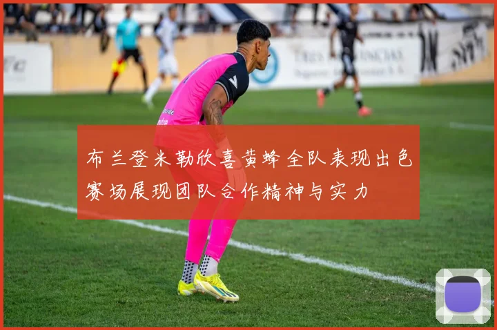 布兰登米勒欣喜黄蜂全队表现出色赛场展现团队合作精神与实力